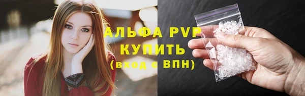 ГАЛЛЮЦИНОГЕННЫЕ ГРИБЫ Белокуриха