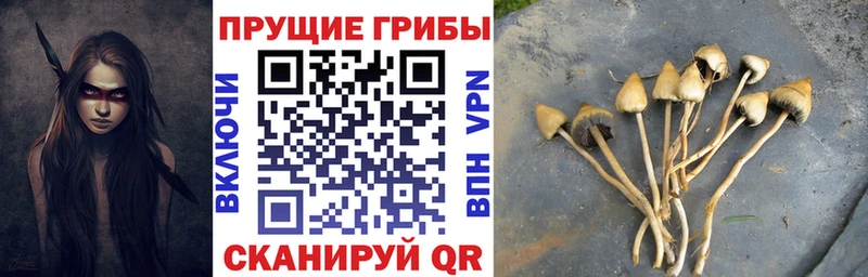 Галлюциногенные грибы MAGIC MUSHROOMS где продают Сольцы